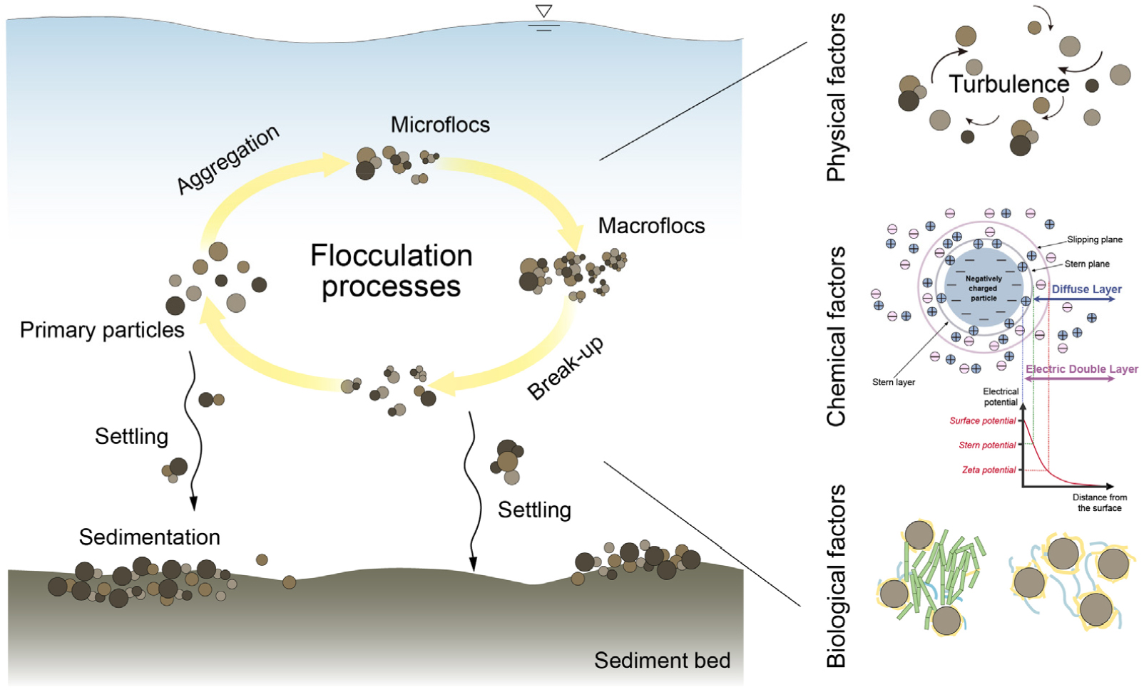 Macroflocculation Review of Methods for Measuring the Particle Size of Flocs in Marine ...